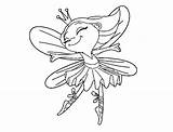 Fairy Wings Coloring Coloringcrew sketch template