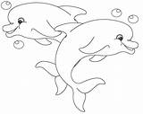 Delfin Ausmalbilder Delfino Colorare Dolphin Dolphins Delfines Erwachsene sketch template