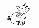 Pig Printable Coloring Pages Color Getcolorings sketch template