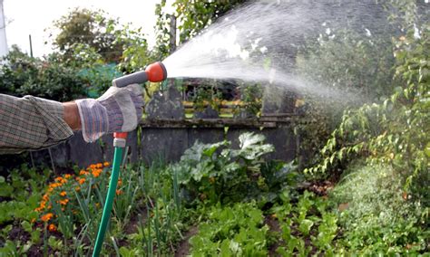 Six Ways To Save Water In Your Garden Life And Style
