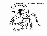 Scorpion Coloring Pages Color Scorpio Print Printable Kids Animals Drawing Mortal Kombat Easy Animal Getcolorings Getdrawings Sheets Lovely sketch template