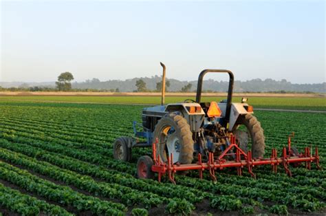 agribusiness agribusiness pakistan