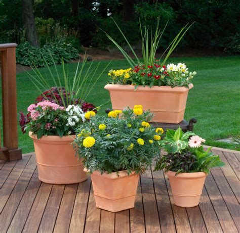 patio potted plant  flower ideas creative  lovely