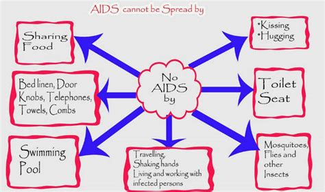 world aids day most common myths about the deadly disease