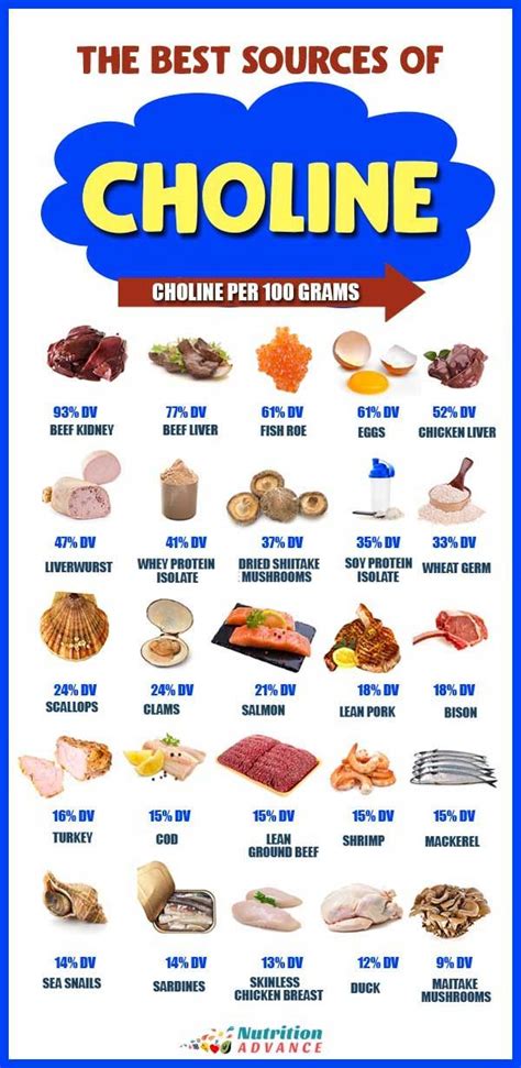 top  foods high  choline nutrition choline foods food