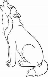 Wolf Coloring Pages Sitting Howling Drawing Cute Beautiful Stock Vector Drawings Paintingvalley Template sketch template