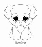 Beanie Coloring Boo Pages Ty Brutus Boos Kleurplaten Drawing Dog Printable Crafts Diy Baby Dogs Party Knuffels Pintura Twitter Colouring sketch template