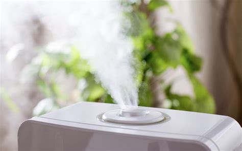 prevent mold  forming   humidifier cleancrispair