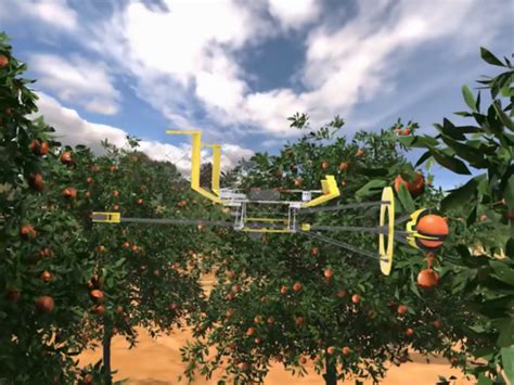 israeli start ups flying fruit pickers harvest hard  reach fruit reducing waste future