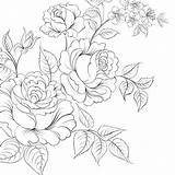 Roses Bunch Drawing Bouquet Background Vector Illustration Getdrawings sketch template