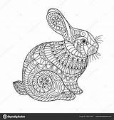 Coloring Rabbit Bunny Adult Cute Children Illustration Stock Vector Creative Depositphotos sketch template