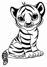 Coloring Tigers Pages Kids Simple Print Animals Children sketch template