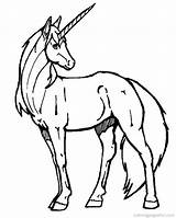 Coloring Pages Royalty Unicorn Library Clipart sketch template