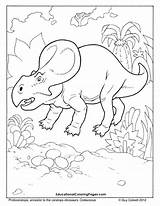 Coloring Dinosaur Pages Protoceratops Book Kids Dinosaurs Printable Colouringpages Au Animal Color Colouring Sheets Print Choose Board Preschool Visit Tegninger sketch template