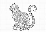 Mandala Cat Svg Zentangle  Cricut Salvo Desenho sketch template
