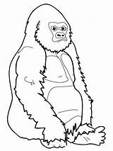 Gorilla Coloring Drawing Ape Pages Line Kids Draw Realistic Monkey Printable Cartoon Apes Getdrawings Paintingvalley Clipart Drawings Monkeys Results sketch template
