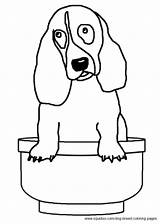 Coloring Pages Hound Basset Dog Breed sketch template