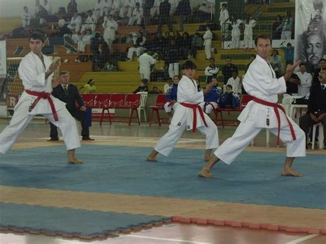 campeonato brasileiro de karatê associação impacto