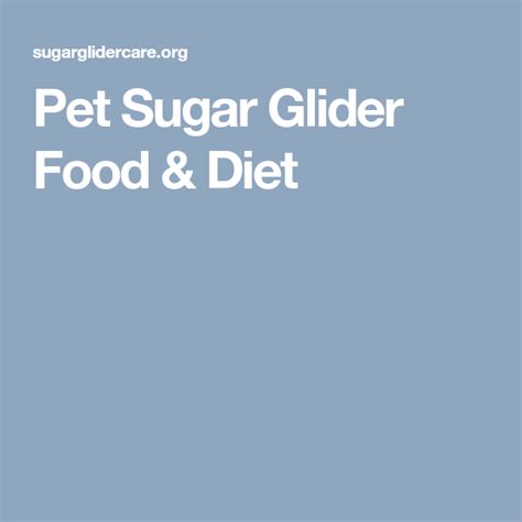 pet sugar glider food diet sugar glider food sugar glider diet diet recipes