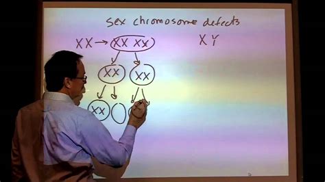 Sex Chromosome Defects Meiosis Youtube