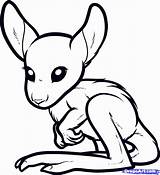 Kangaroo Coloring Pages Kids Baby Draw Cute Drawings Animals Colouring Popular Step Coloringhome Comments sketch template