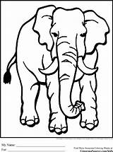 Endangered Jungle Elefante Elefantes Trompa Coloringhome Bubakids Printablecolouringpages sketch template