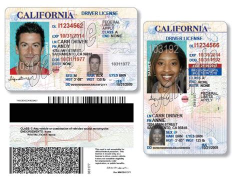 thousands apply  undocumented driver licenses capradioorg