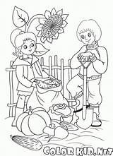 Pages Colorkid Coloring Harvest Vegetables sketch template
