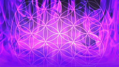 violet flame crystal information