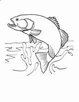 Lure Fishing Coloring Pages Getdrawings sketch template