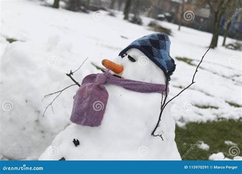 snowman stock image image  season carrot frosty