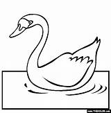 Swan Coloring Pages Color Bird Beautiful Online Animal Girls Animals sketch template