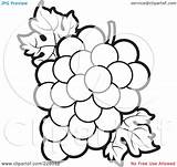 Grapes Outline Clipart Grape Coloring Bunch Leaves Illustration Royalty Rf Lal Perera Pages Fruit Colouring Leaf Flower Clipground Choose Board sketch template