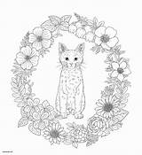 Mandala Coloring Cat Pages Animal Baby Book Adult Cry Melanie Martinez Harmony Flowers Cats Adults Flower Fresh Vase Christmas Nature sketch template