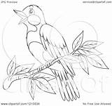 Perched Bird Outlined Clipart Royalty Vector Cartoon Bannykh Alex Illustration sketch template