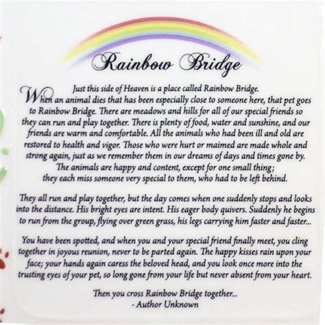 rainbow bridge poem indyhumane