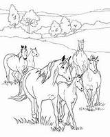 Cheval Jumping Pferde Breyer Prairie Pony Herd Colorier Foal Applique Adulte Ancenscp Getdrawings Schleich Kleurplaten sketch template