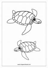 Coloring Pages Animals Sea Sheets Birds Megaworkbook Animal Water Turtle sketch template