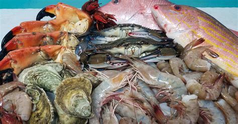 southern seafood market fresh fish shrimp crabs tallahassee fl