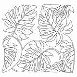 Coloring Leaves Jungle Pages Leaf Fall Drawing Tropical Rainforest Printable Realistic Google Tree Plants Lion Habitat Rain Forest Search Animals sketch template