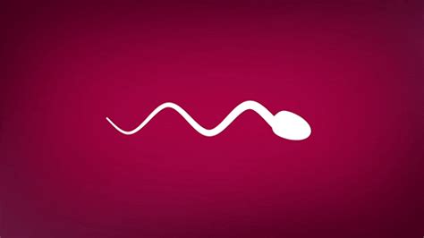sperm s find and share on giphy