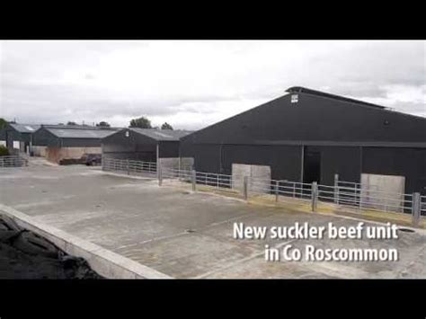 farm buildings  bay double sided suckler shed youtube