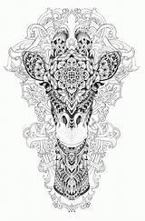 Coloring Pages Safari Adult Giraffe Adults Popular sketch template