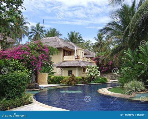 tropical house stock image image  honeymoon holiday