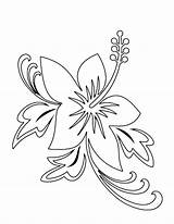 Flower Coloring Hawaii State Hibiscus Beautiful sketch template