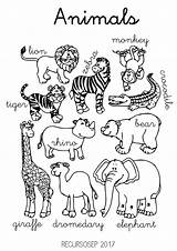 Animal Worksheet Recursosep Animals2 Jungle sketch template