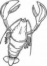 Lobster Aragosta Raki Kraby Kolorowanki Stampare sketch template