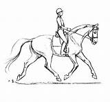 Dressage Horse Drawing Coloring Pages Horses Saddle Bridle Optimizing Riding Drawings Color Saddles Print Getcolorings Soundness Getdrawings Printable Dres Sketch sketch template