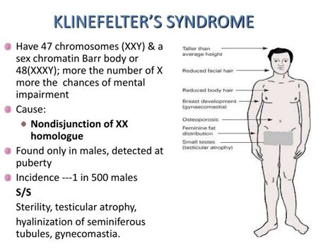 Klinefelter Syndrome Gambaran