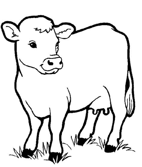 cute animal coloring pages coloring pages  kids